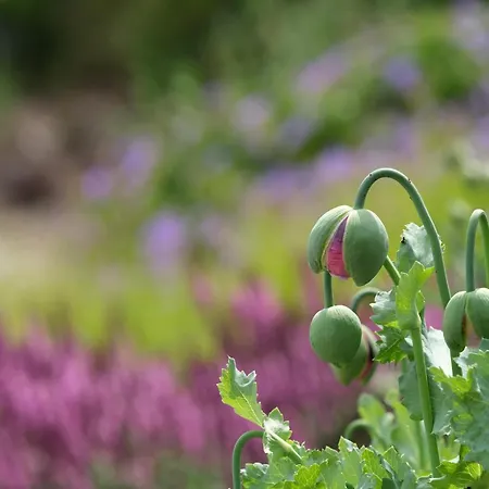 Stunning In With 4 Bedrooms And Wifi Knebel